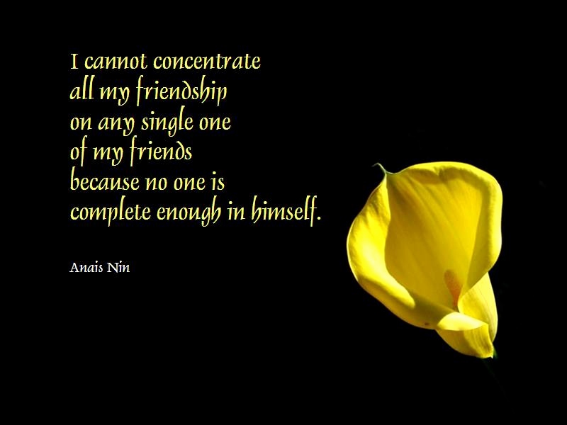 Wallpapers True Friendship Friendship Funny Quotes - Friendship Quotes Hazrat Ali , HD Wallpaper & Backgrounds