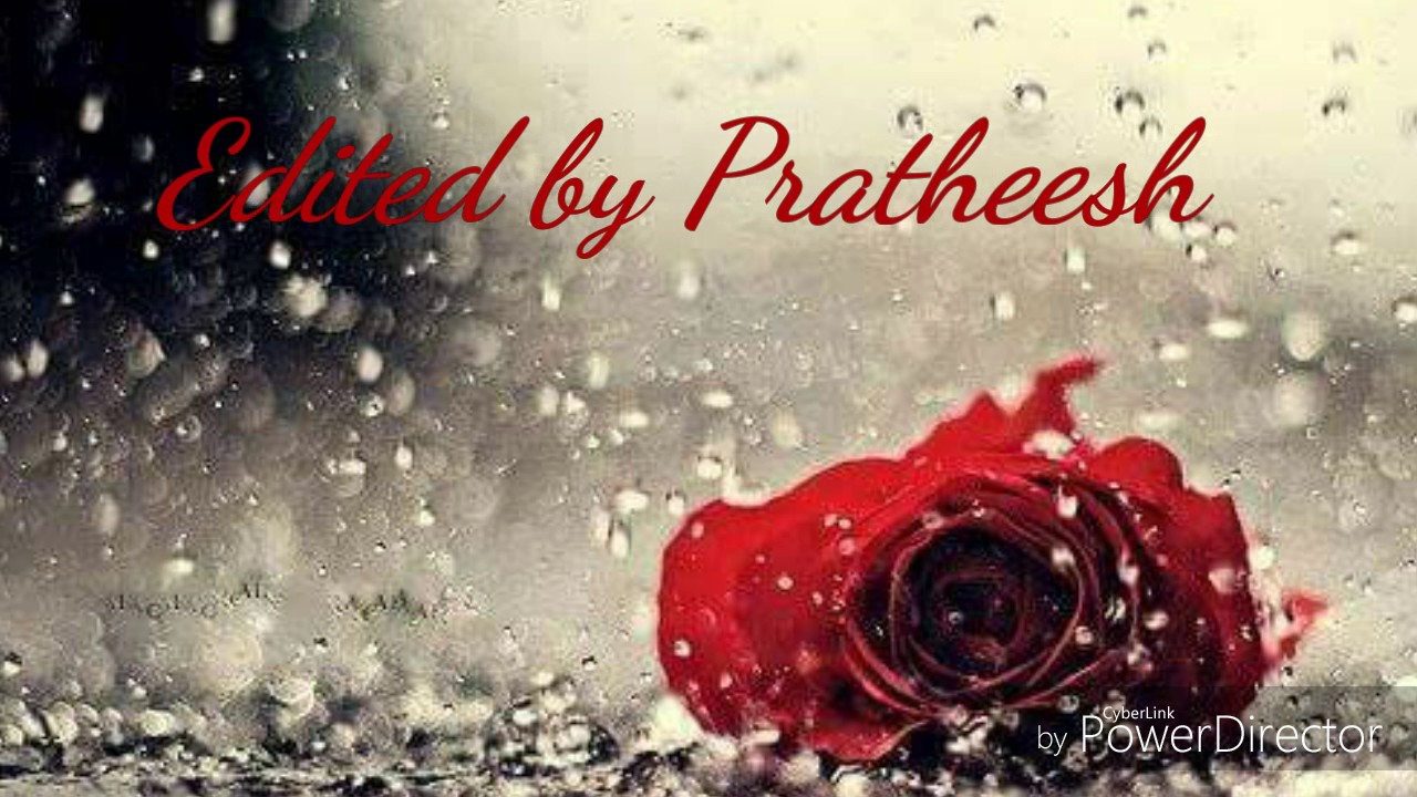 Malayalam Love Quotes - Lonely Rose In The Rain , HD Wallpaper & Backgrounds