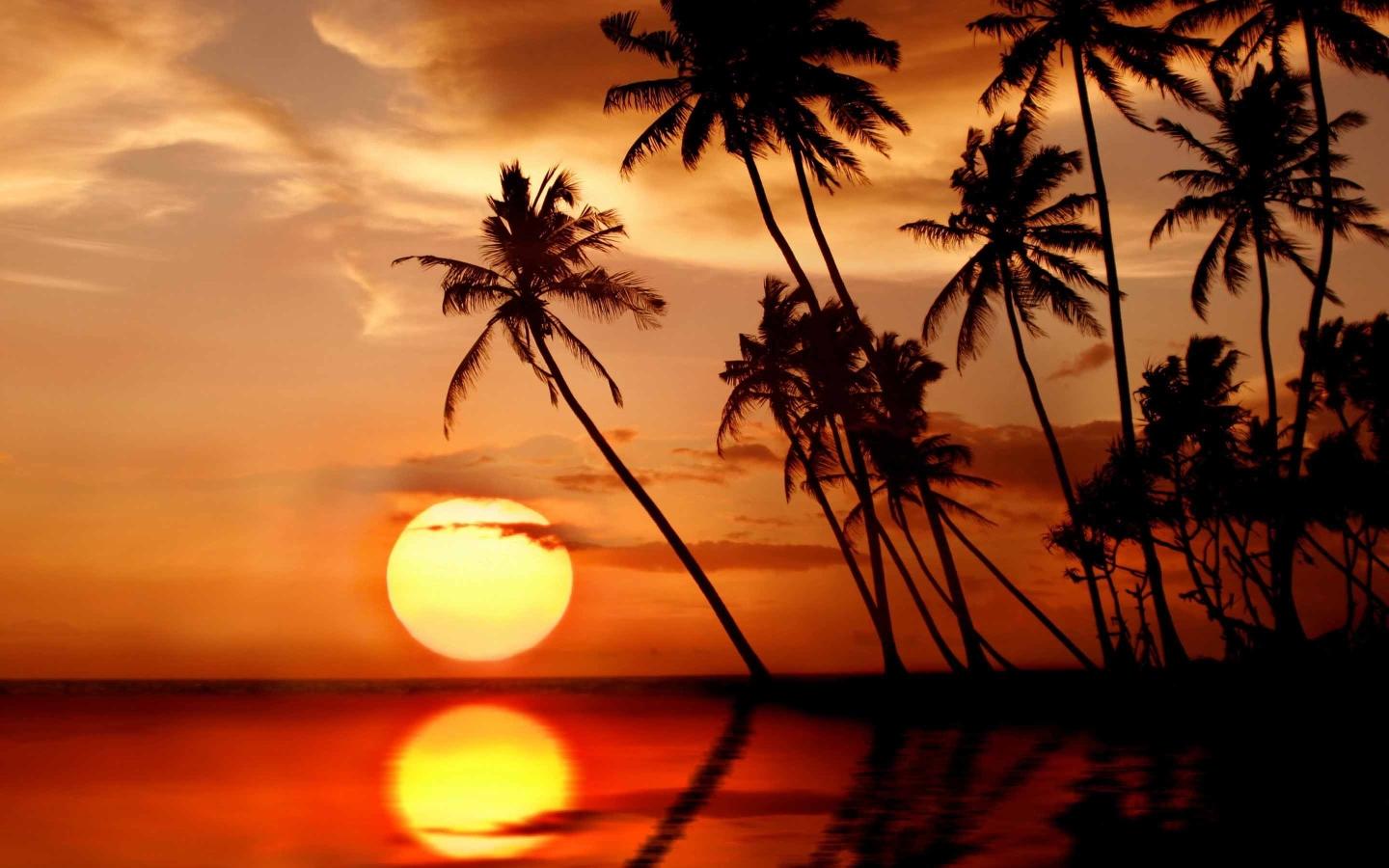 Macbook Air 13 Inch Wallpaper Size - Tropical Beach Paradise Sunset , HD Wallpaper & Backgrounds