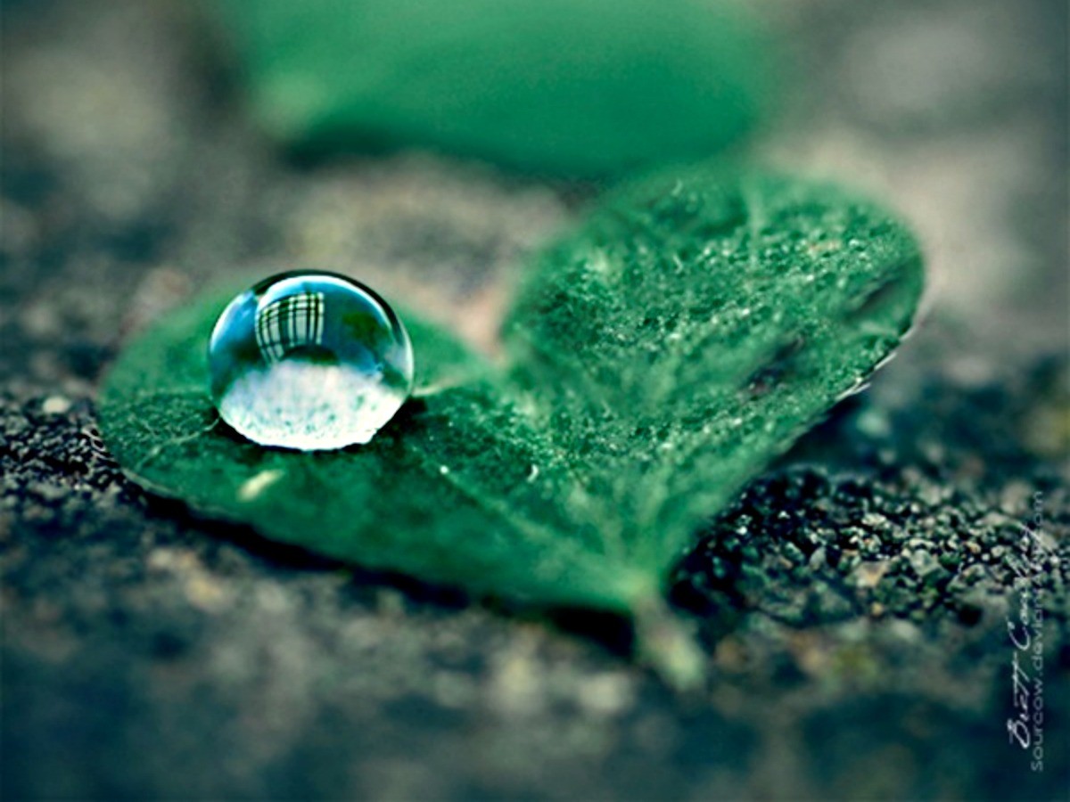 Cute - Creative Water Drop Photography , HD Wallpaper & Backgrounds