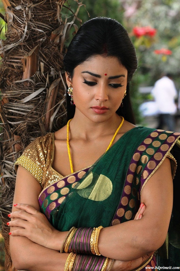 Acctress Shreya Saran In Saree Photos Download - Shriya Saran Hd Saree , HD Wallpaper & Backgrounds