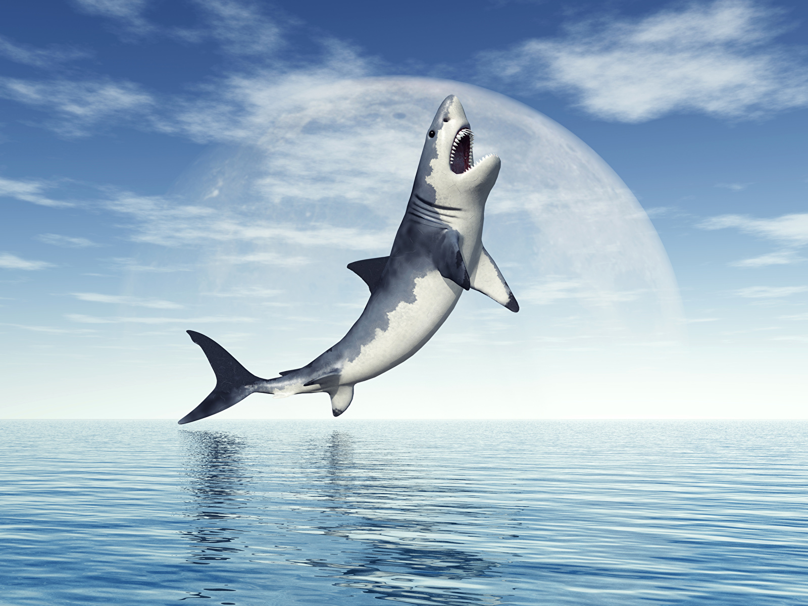 Shark In The Sky , HD Wallpaper & Backgrounds