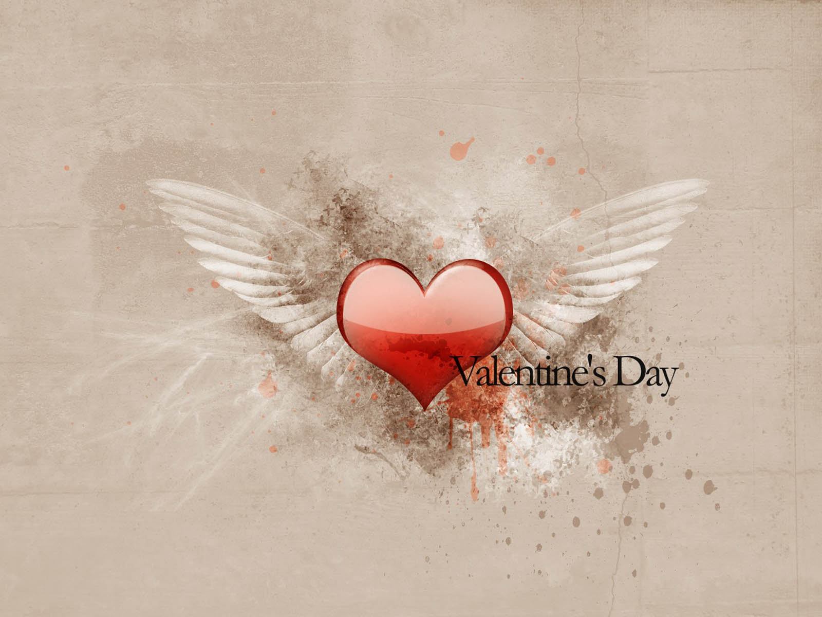 Valentines Day Desktop Butterfly Wallpaper Facebook Cover