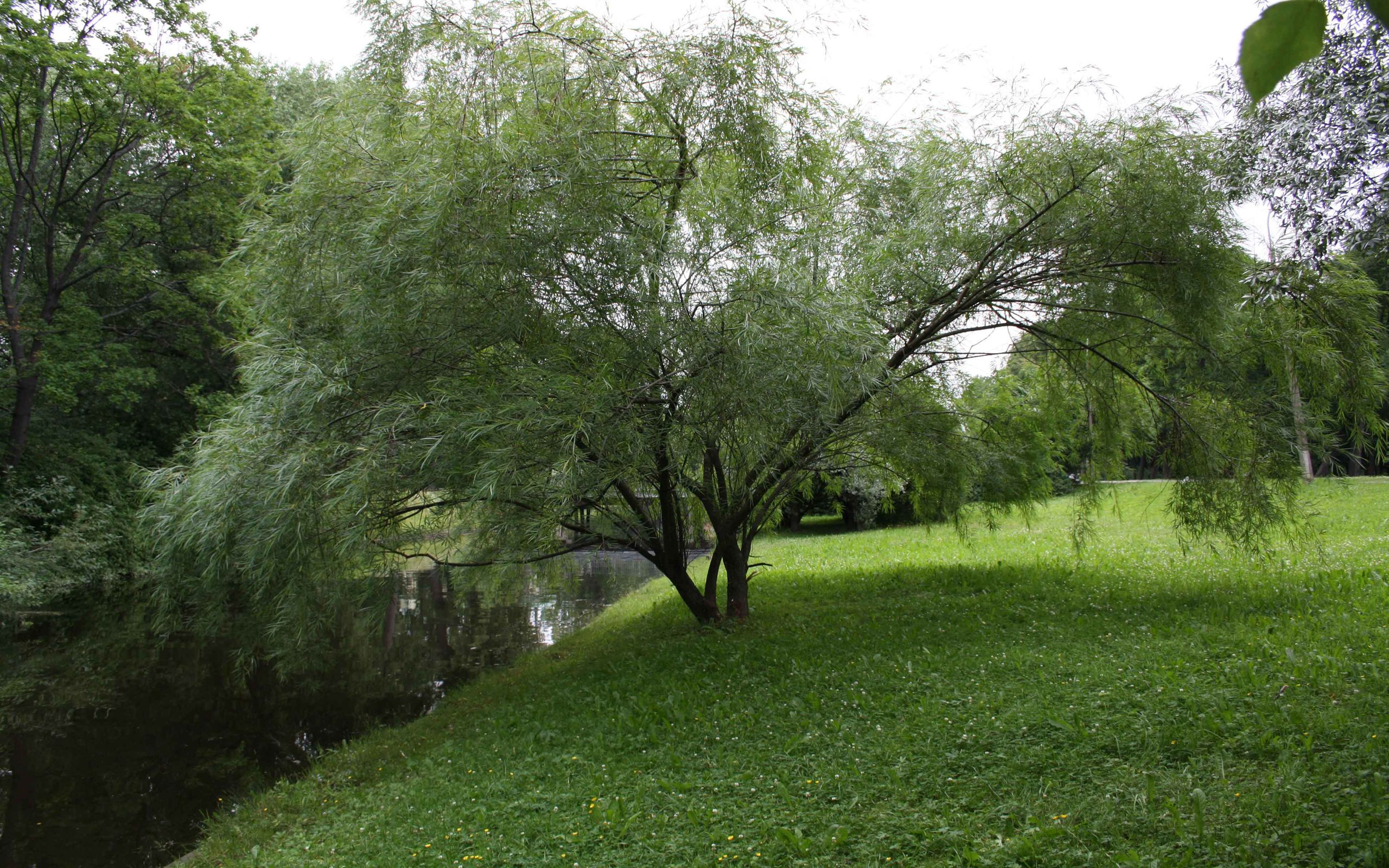 Users Who Have Seen This Wallpaper Have Also Seen - Thielpark Berlin , HD Wallpaper & Backgrounds