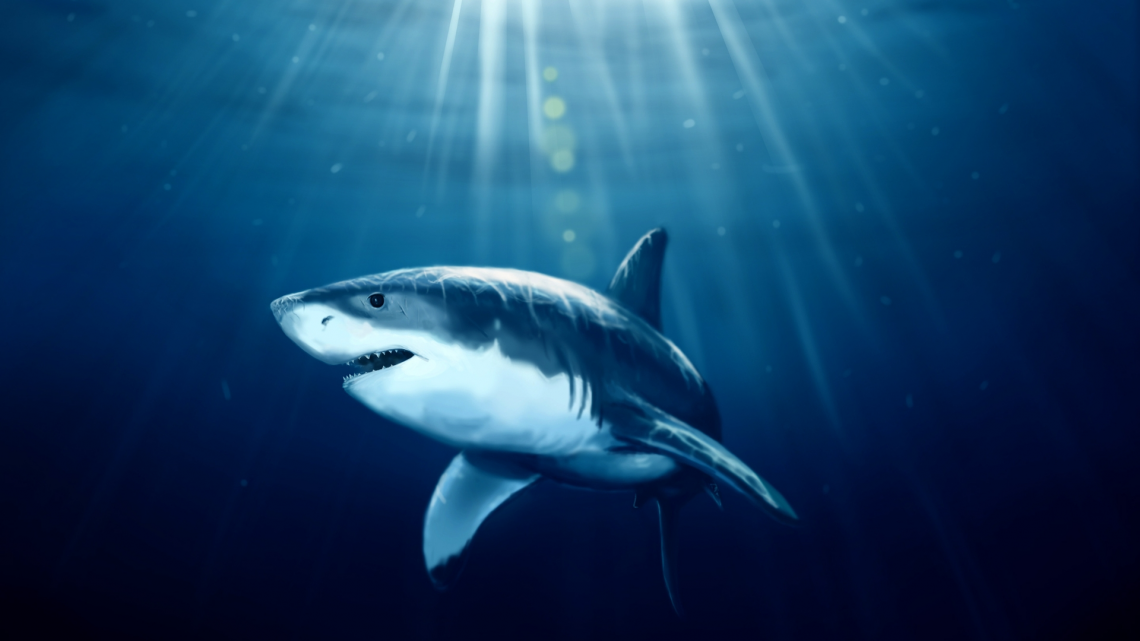 Deep Blue Sea Shark - Shark Backgrounds , HD Wallpaper & Backgrounds