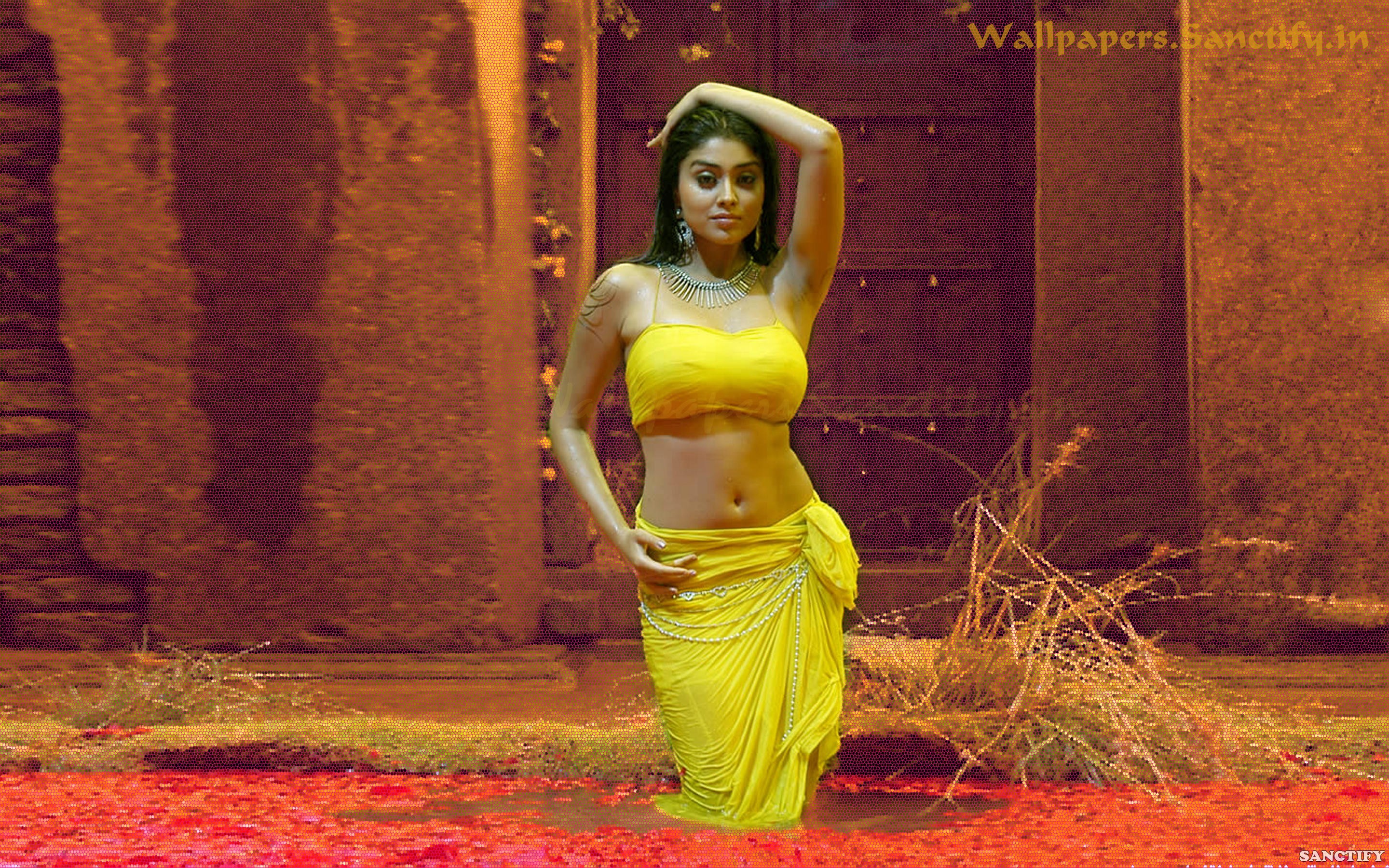 South Indian Actress Hd Wallpaper - Shriya In Naa Alludu , HD Wallpaper & Backgrounds