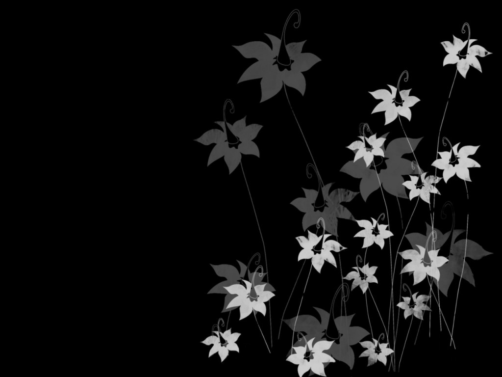 Black And White Flowers Widescreen Wall - Flower Wallpaper Hd In Black Background , HD Wallpaper & Backgrounds