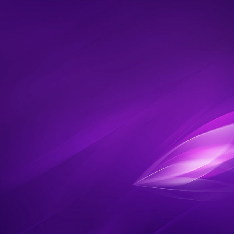 10 Most Popular Purple Colour Hd Wallpapers Full Hd - Lilac , HD Wallpaper & Backgrounds