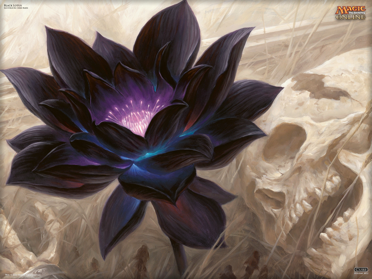 Black Lotus Flower Wallpapers Hd - Black Lotus Mtgo , HD Wallpaper & Backgrounds