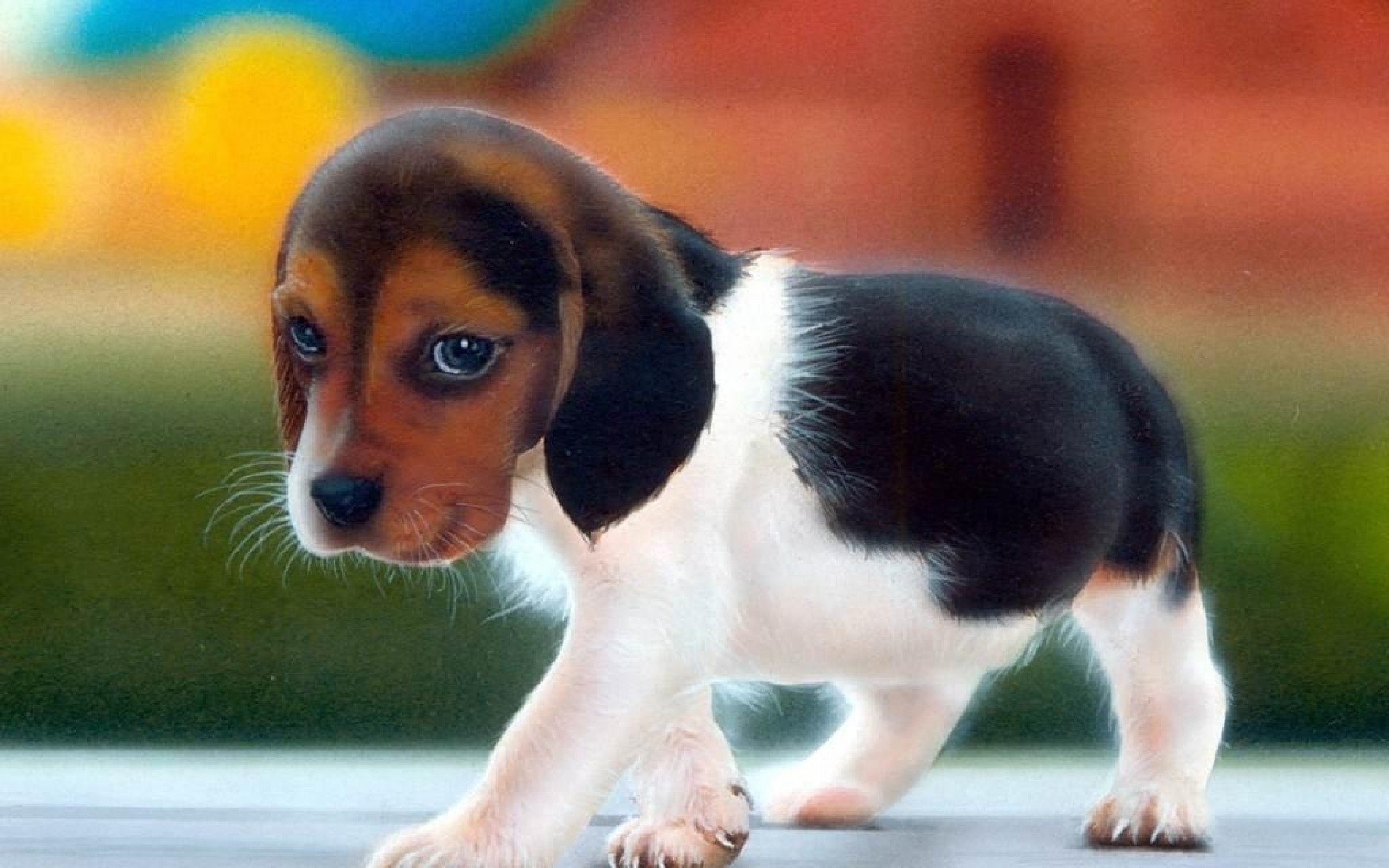 Cute Dog Wallpaper Gallery - Hd Dog Images Download , HD Wallpaper & Backgrounds