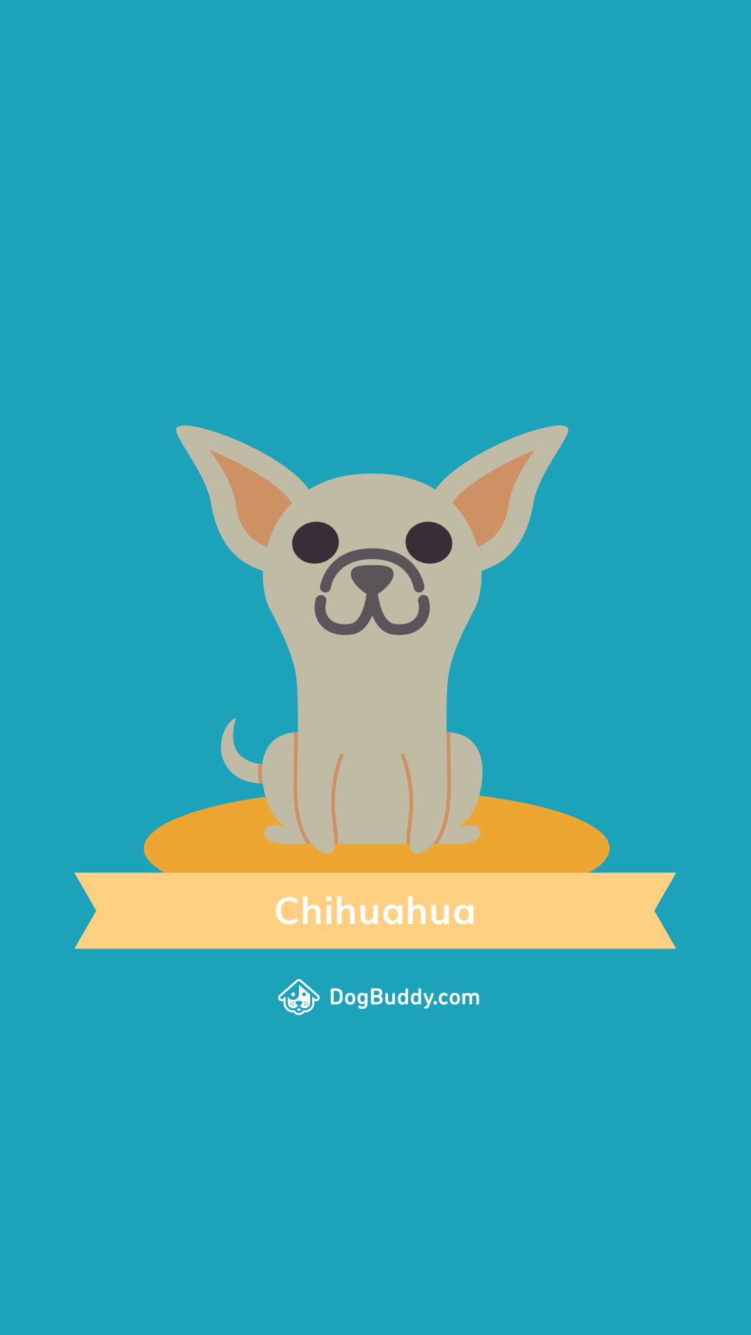 Chihuahua Mobile Woofpaper - Fondo De Pantalla De Chihuahuas , HD Wallpaper & Backgrounds