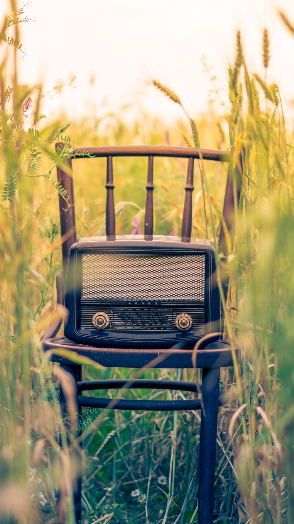 Wallpaper Radio, Chair, Grass, Blur - Chair Hd Wallpapers Iphone 7 , HD Wallpaper & Backgrounds