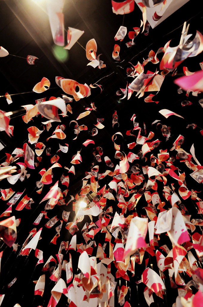 Money / Dinheiro Tags - Graduation , HD Wallpaper & Backgrounds