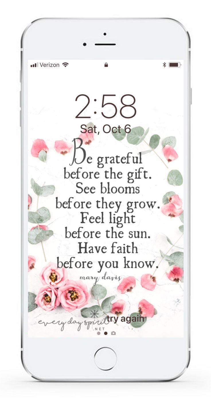 An App Of Over 950 Mobile Phone Wallpapers With Positive, - Garden Roses , HD Wallpaper & Backgrounds