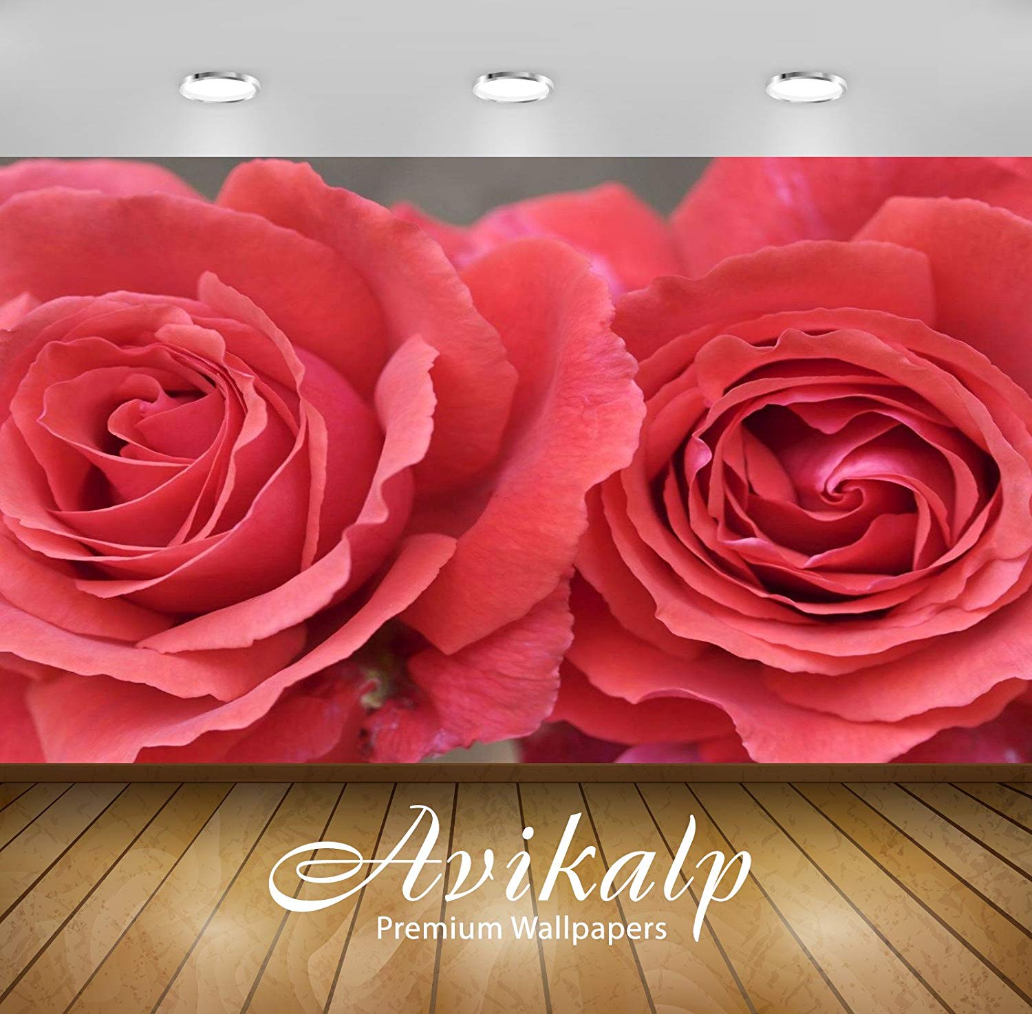 Buy Avikalp Awi3296 Beautiful Red Rose Flowers Full - Sunrise Beautiful Sceneries Hd , HD Wallpaper & Backgrounds