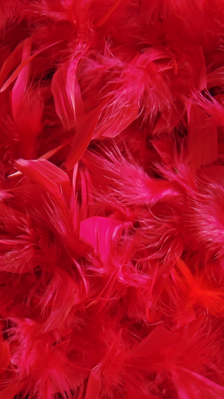 Wallpaper Feathers, Down, Red - Iphone Wallpaper Red Feathers , HD Wallpaper & Backgrounds