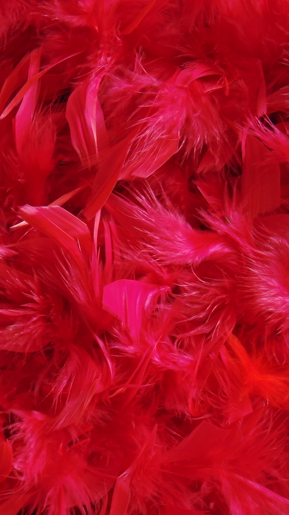 Wallpaper Feathers Down Red Iphone Wallpaper Red Feathers Wallpaper Feathers Down Red Iphone Wallpaper Red Feathers