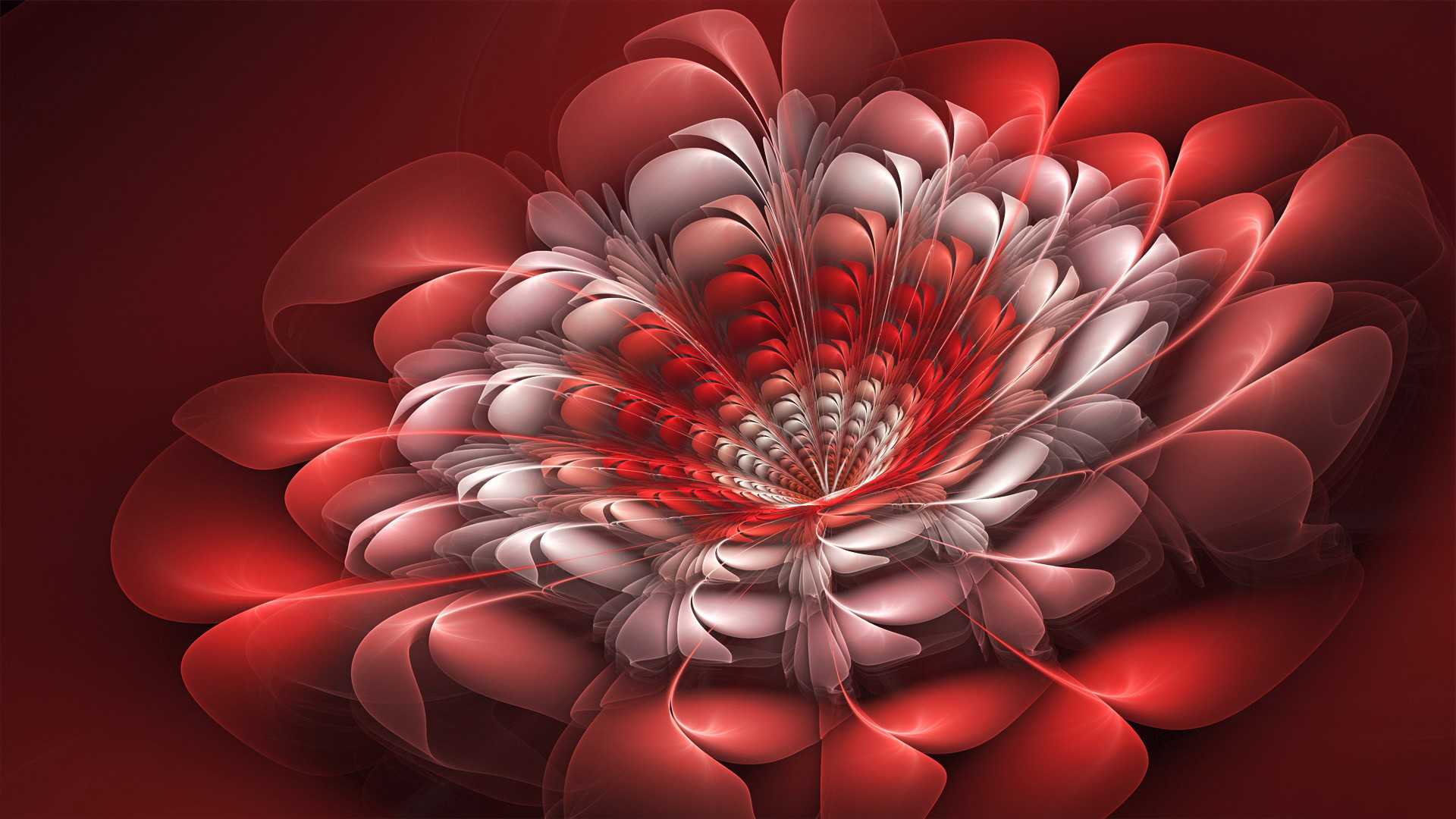 Download Beautiful Red Flower D Abstract S Wallpaper - Facebook Profile Images Flowers , HD Wallpaper & Backgrounds