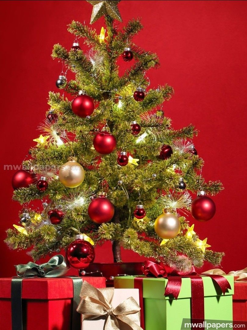 Christmas Hd Photos Wallpapers 1080p 12821 Christmas - Christmas Tree With Presents , HD Wallpaper & Backgrounds