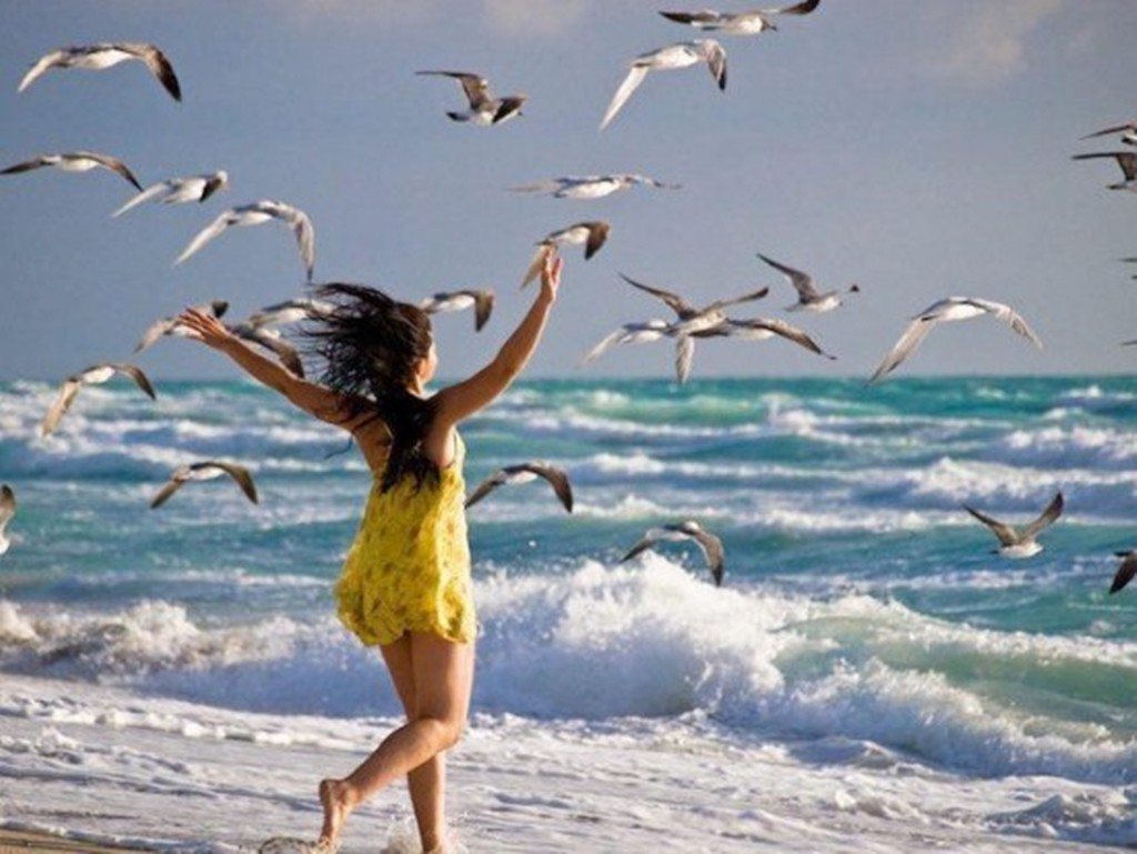 Beautiful Life Birds Feeling Sea Enjoy Freedom Beach - Am In Your Heart , HD Wallpaper & Backgrounds