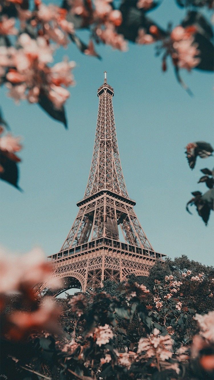 Screen Wallpaper, Cool Wallpaper, Paris Wallpaper, - Eiffel Tower In Spring , HD Wallpaper & Backgrounds