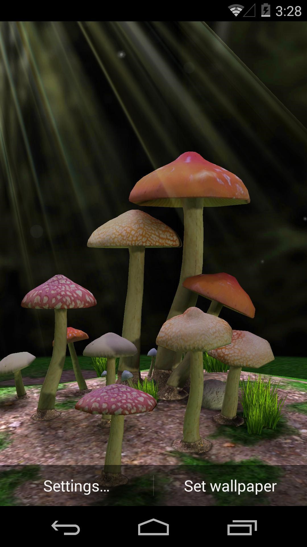 Mushroom 3d Live Wallpaper - Shiitake , HD Wallpaper & Backgrounds