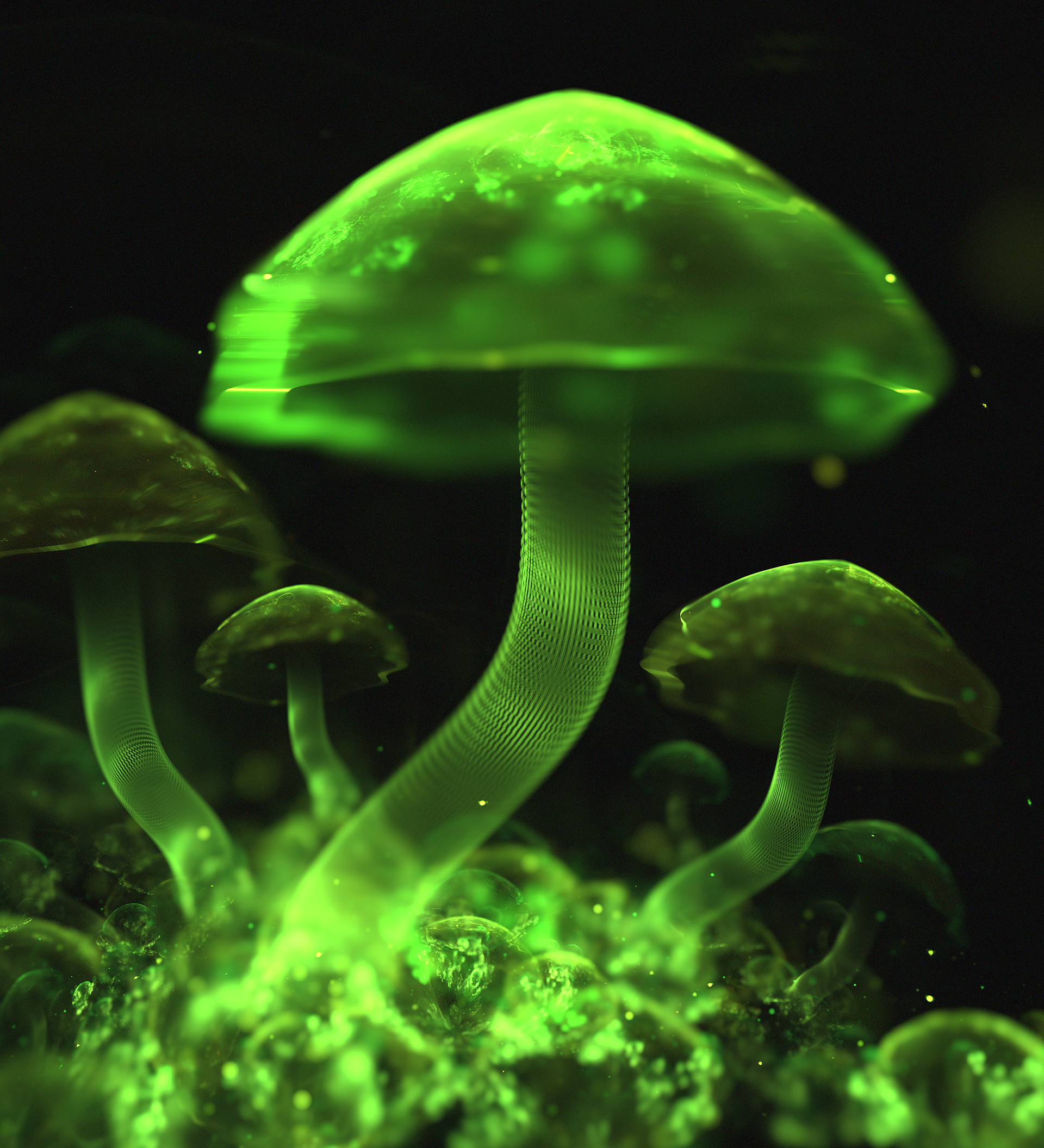 Bioluminescent Mushrooms , HD Wallpaper & Backgrounds