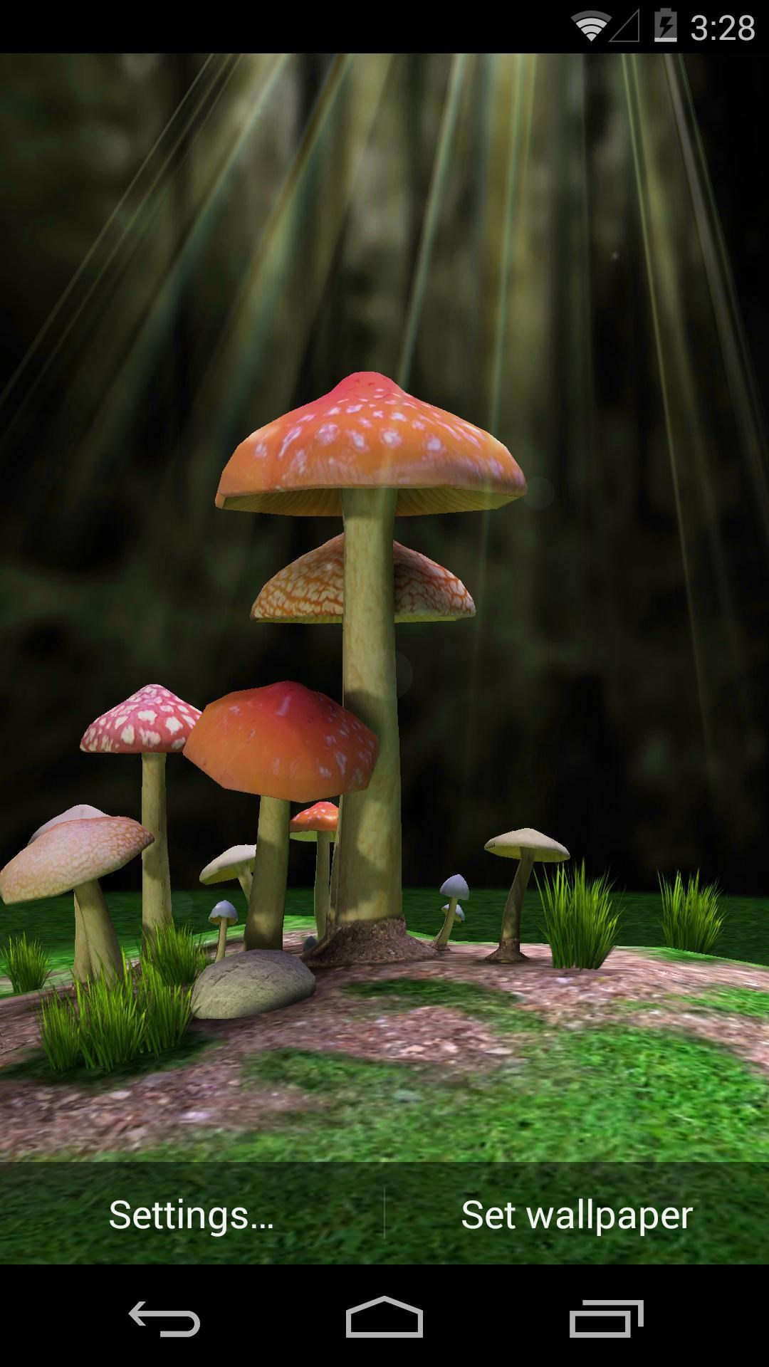 Mushroom - Shiitake , HD Wallpaper & Backgrounds