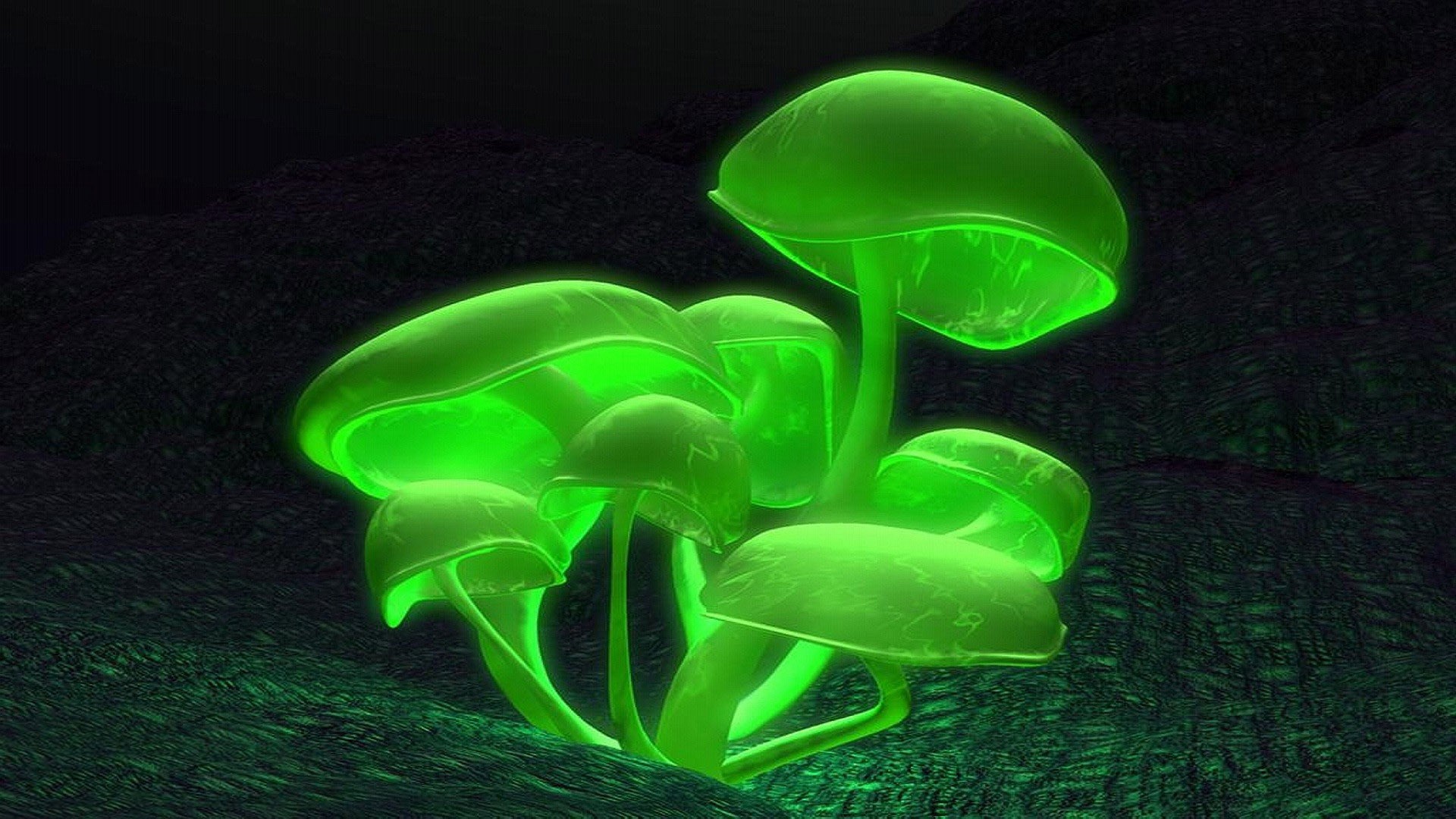 Neon Mushroom Wallpaper Wallpapersafari - Green Mushroom , HD Wallpaper & Backgrounds