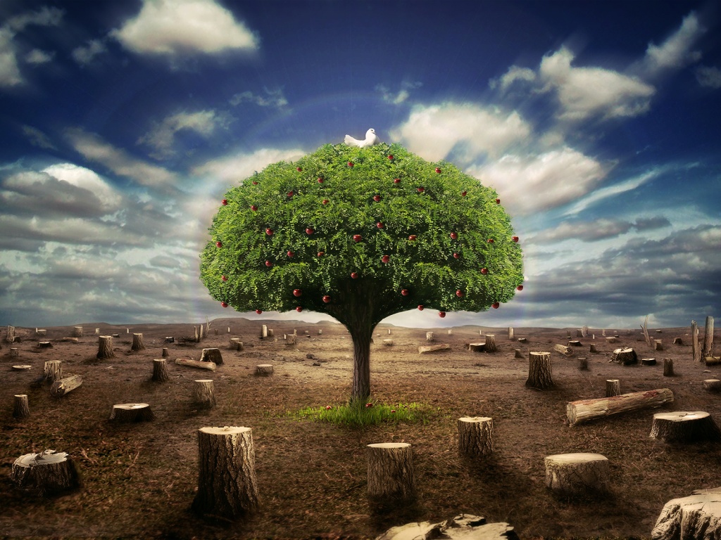 Isolated Fruit Tree - Imagem De Aquecimento Global , HD Wallpaper & Backgrounds