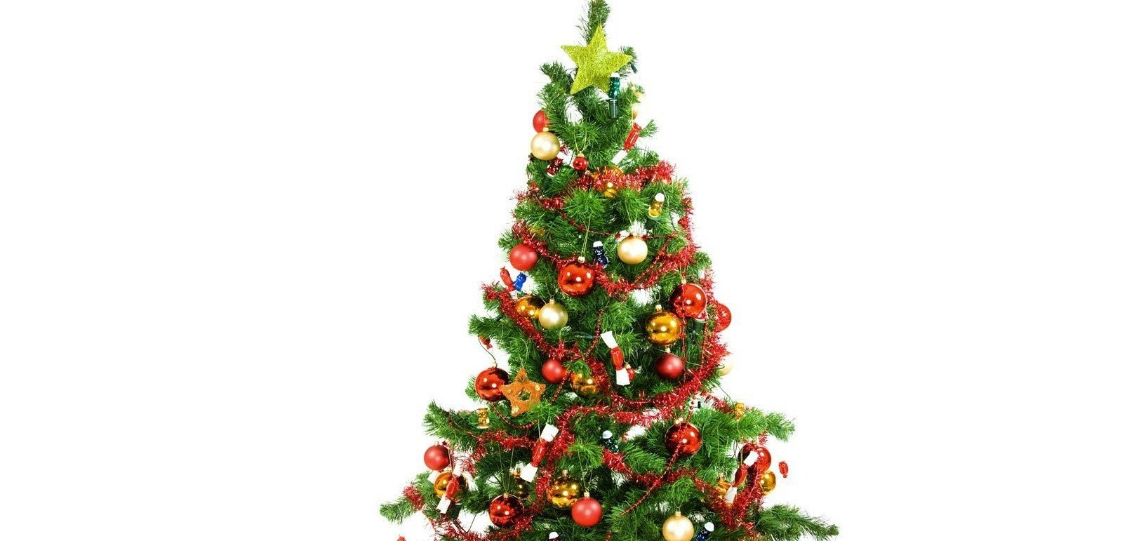 Arvore Natal Wallpaper - Christmas Tree Hd Png , HD Wallpaper & Backgrounds