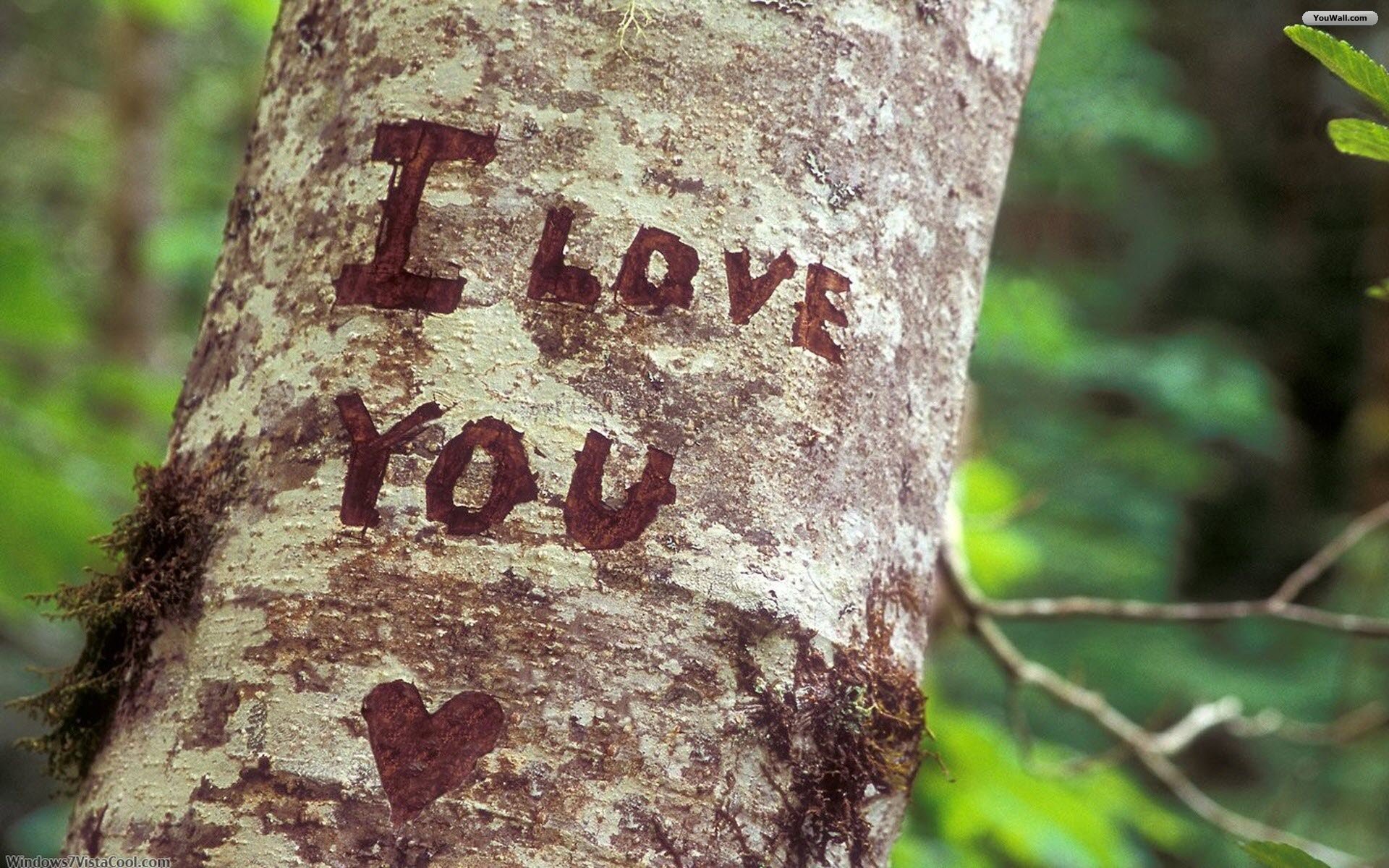 I Love You Wallpapers Hd A33 - Love You In The Forest , HD Wallpaper & Backgrounds