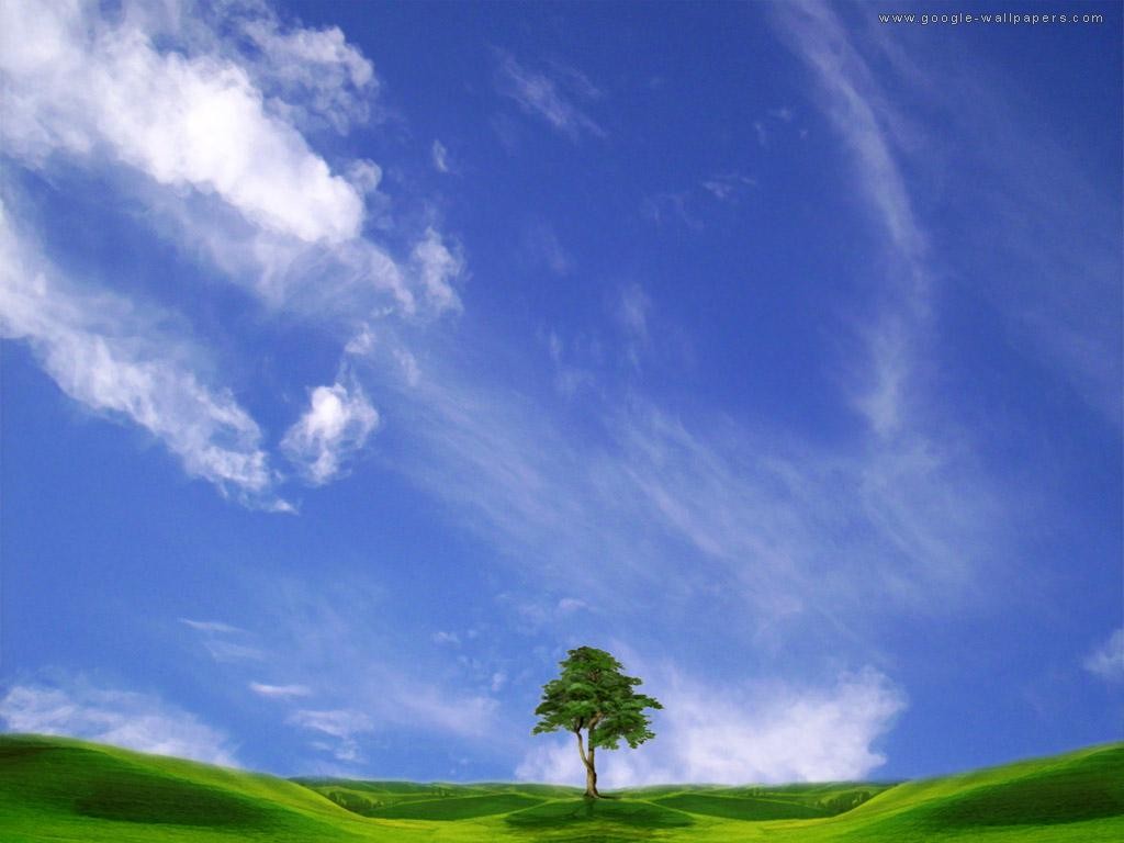 Arvore Solitaria Grass Tree Blue Sky Free Desktop Wallpaper - 蓝天 白云 壁纸 , HD Wallpaper & Backgrounds