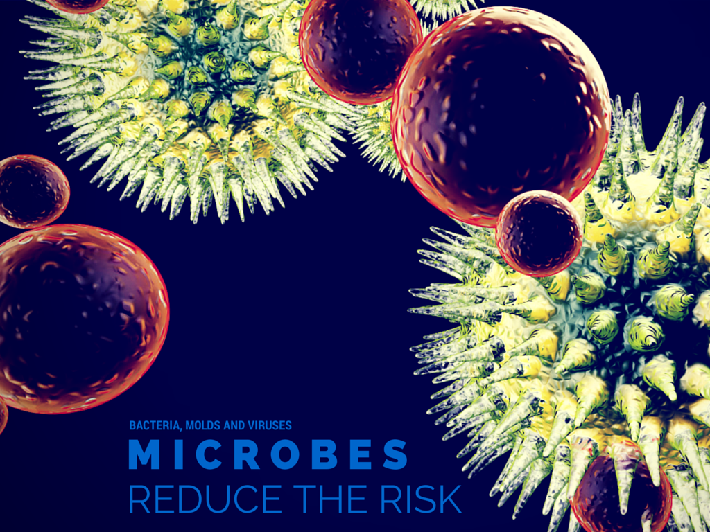 Bacteria, Molds, And Viruses How To Reduce The Potential - Immune Cells Attacking A Virus , HD Wallpaper & Backgrounds