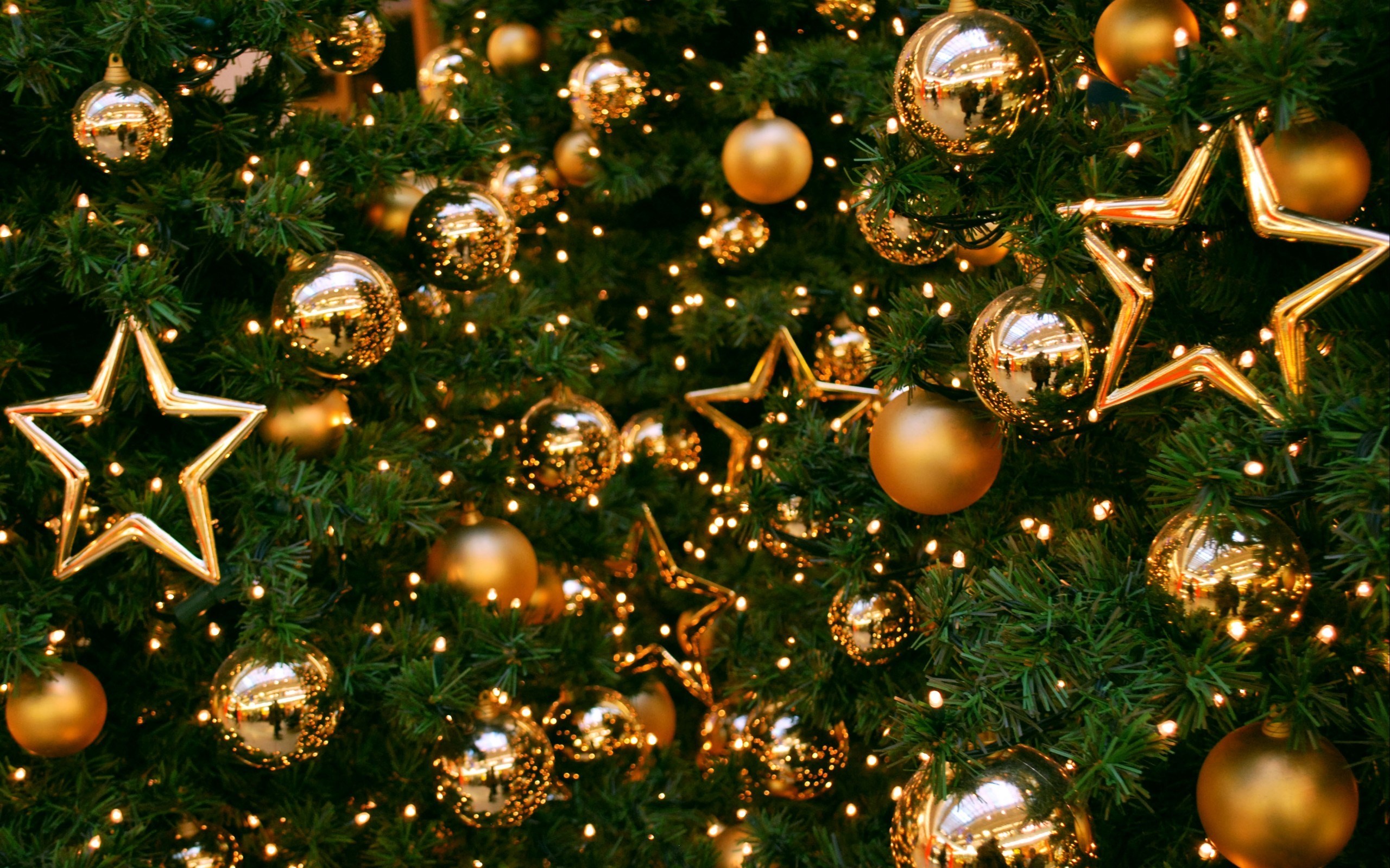 Best Christmas Tree Wallpaper - Christmas Tree New Year , HD Wallpaper & Backgrounds