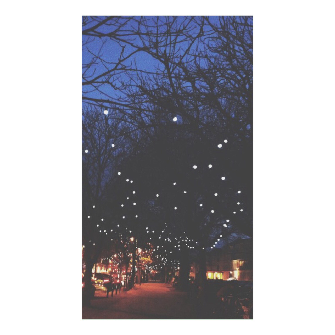 Background, Christmas, Homescreen, Lights, Nature, - Winter Home Screen Background , HD Wallpaper & Backgrounds