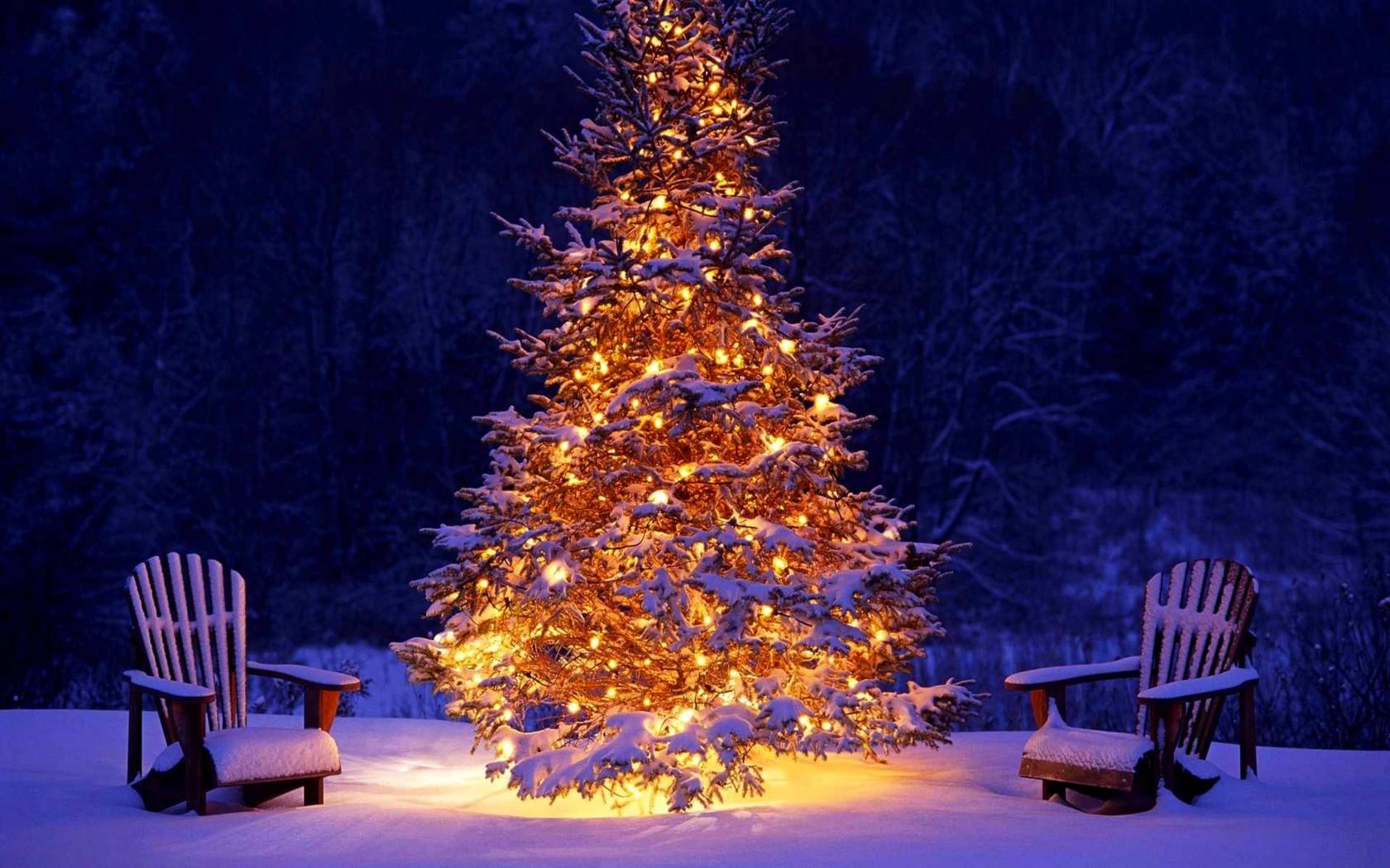 Wallpaper Pohon Natal - Christmas Hd , HD Wallpaper & Backgrounds
