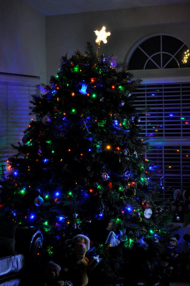 Macam Macam Pohon Natal Yang Indah 2014 Kata Ilmu - Lampu Hias Pohon Natal , HD Wallpaper & Backgrounds