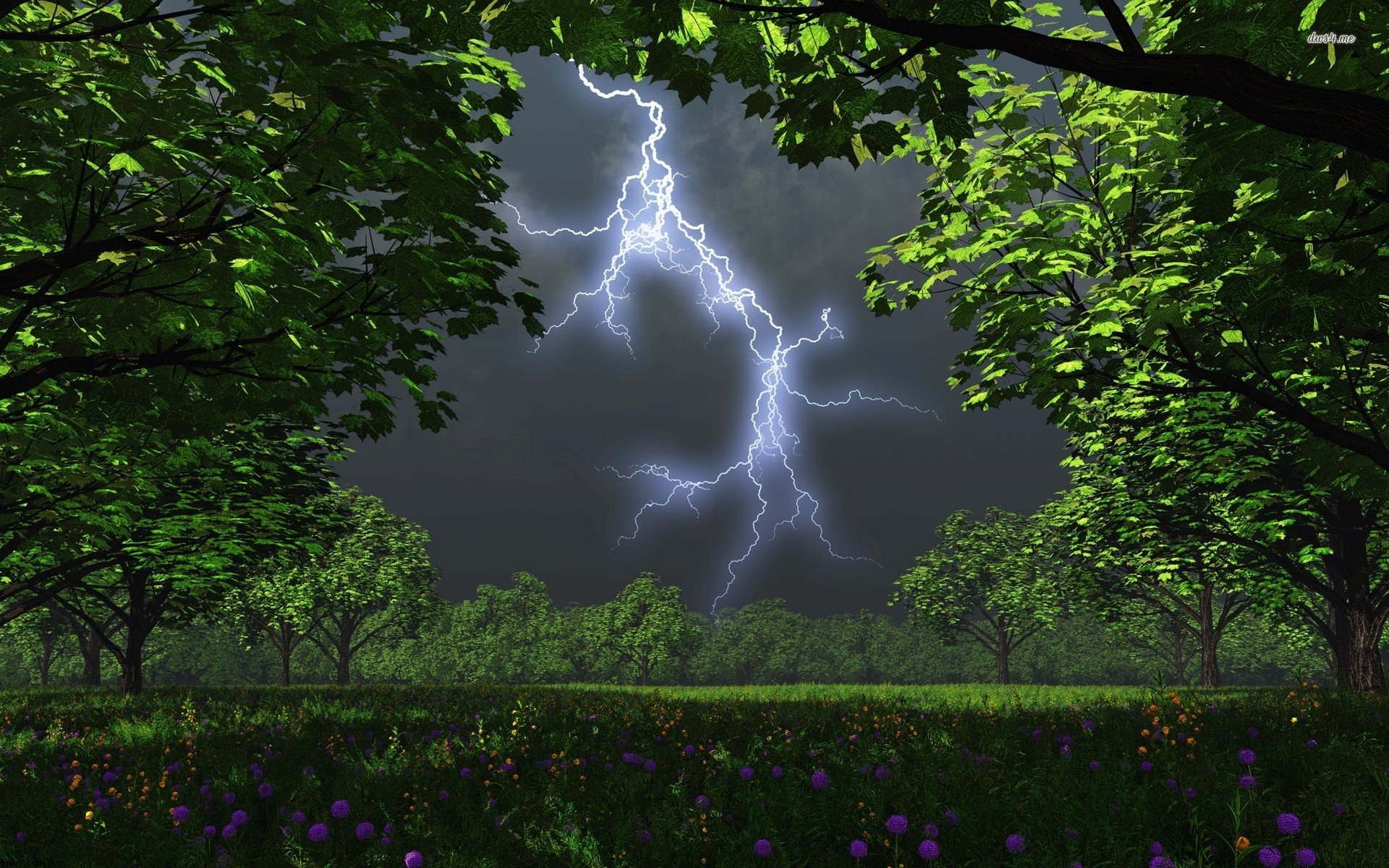 Hd Wallpapers Free Forest Lightning Night Shadow Tree - Lightning Storm In A Forest , HD Wallpaper & Backgrounds