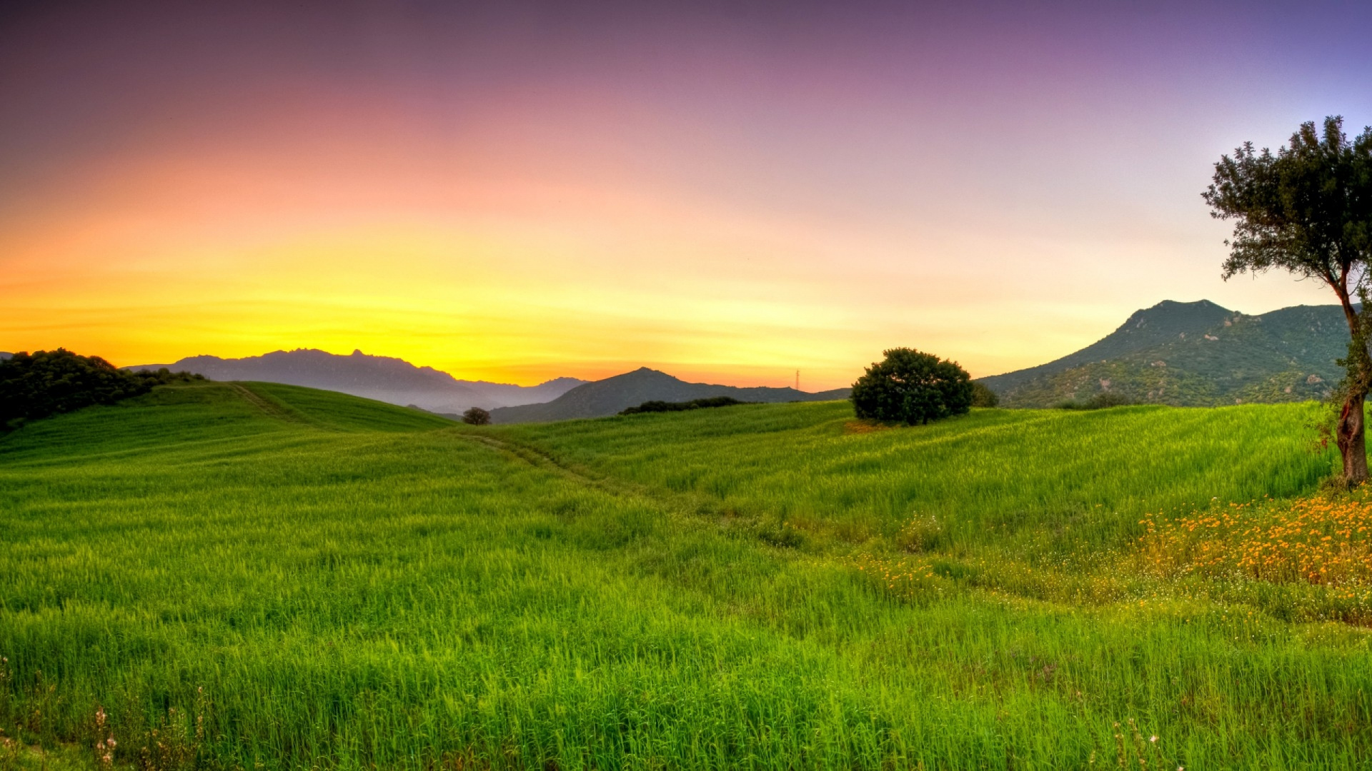Plain, Hill, Meadow, Sky, Morning Wallpaper In Resolution - Good Morning Hd Hills , HD Wallpaper & Backgrounds
