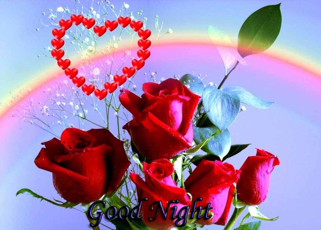 Good Night I Love You Rose Hoontoidly Rose Love Wallpaper - S Name Wallpaper Free Download , HD Wallpaper & Backgrounds