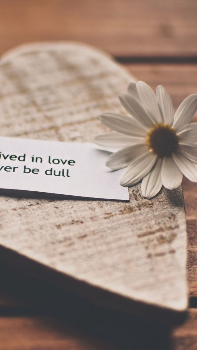 A Life Lived In Love Will Never Be Dull - Life Lived In Love Will Never , HD Wallpaper & Backgrounds