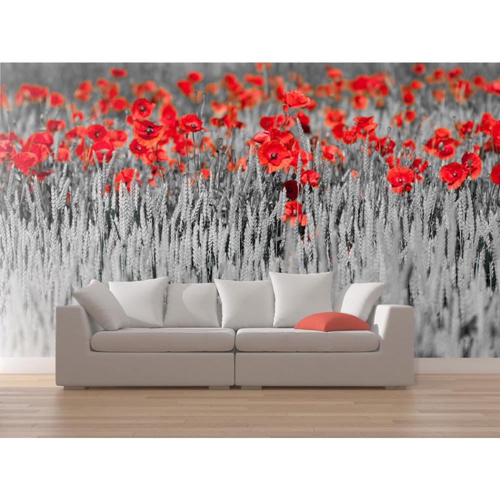 Http - //www - Murando - 2 - Papier Peint Moderne Rouge , HD Wallpaper & Backgrounds