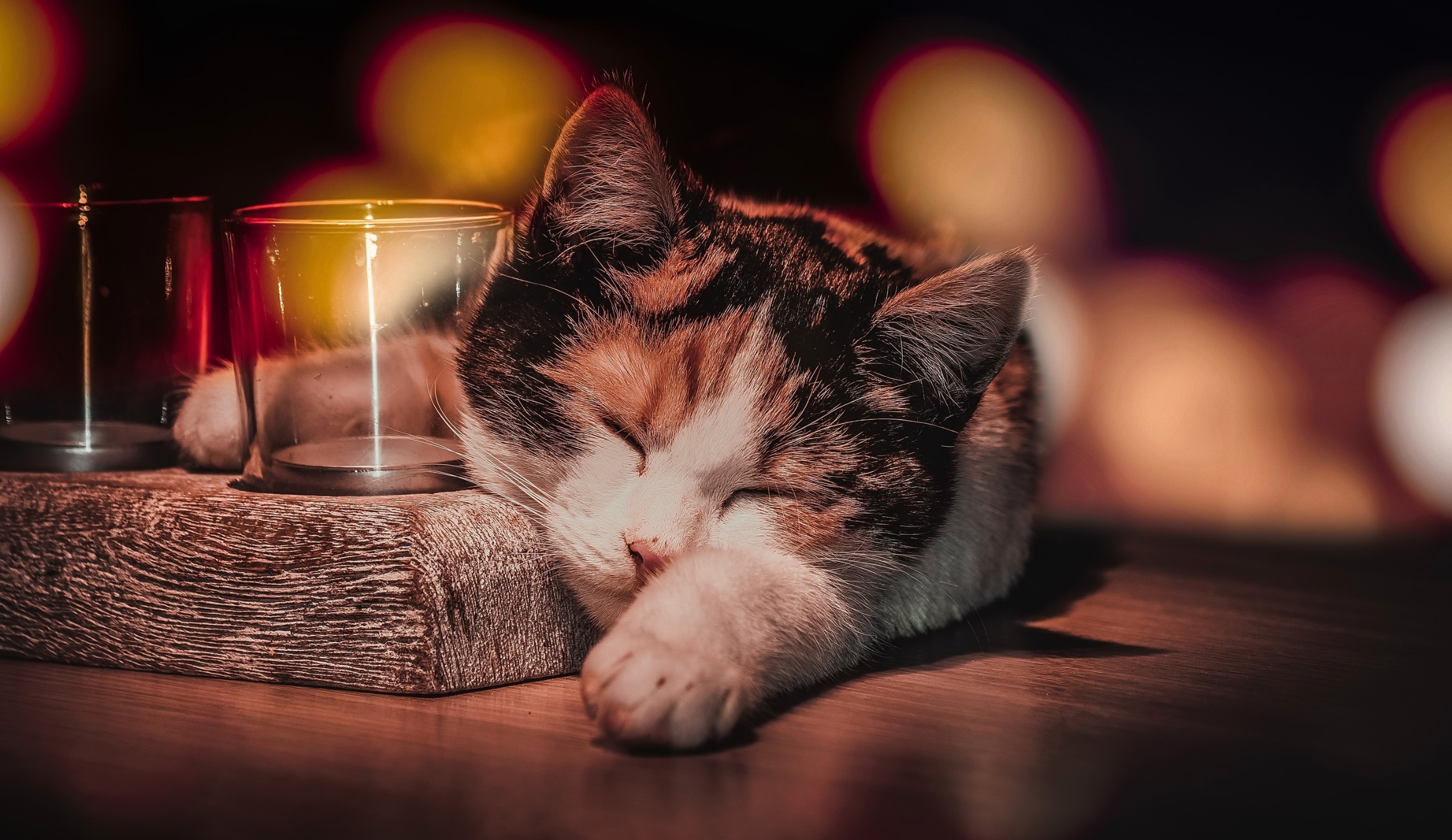 #sleeping, #cat, #drinking Glass, #animals Wallpaper - Cat Drinking From A Glass , HD Wallpaper & Backgrounds