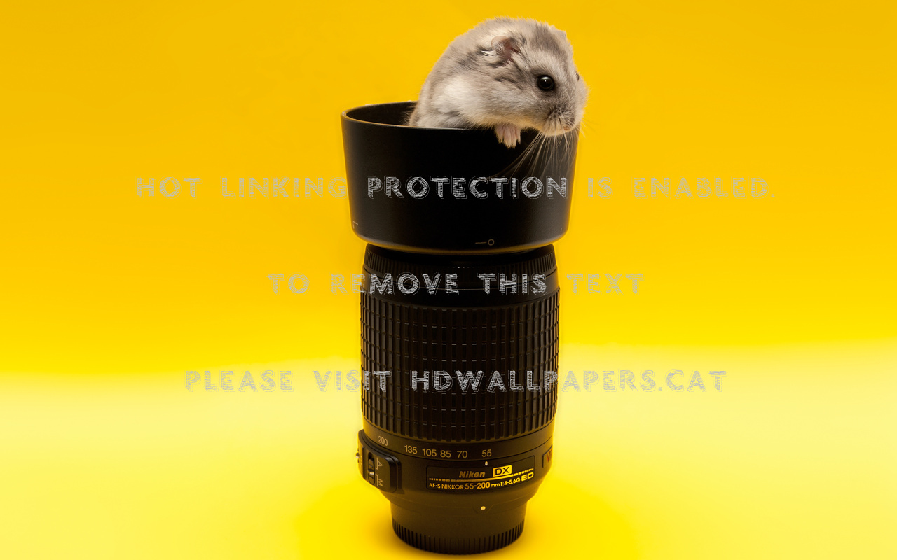 Wallpaper (#888807) - HD Wallpaper & Backgrounds Download