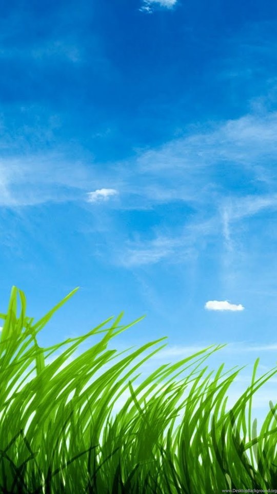 Android Hd - Hd Grass And Sky , HD Wallpaper & Backgrounds