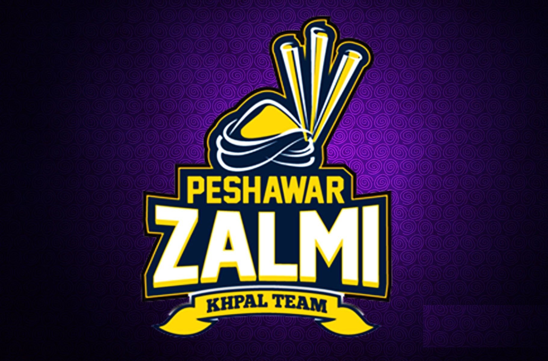 Peshawar Zalmi Logo - Peshawar Zalmi , HD Wallpaper & Backgrounds