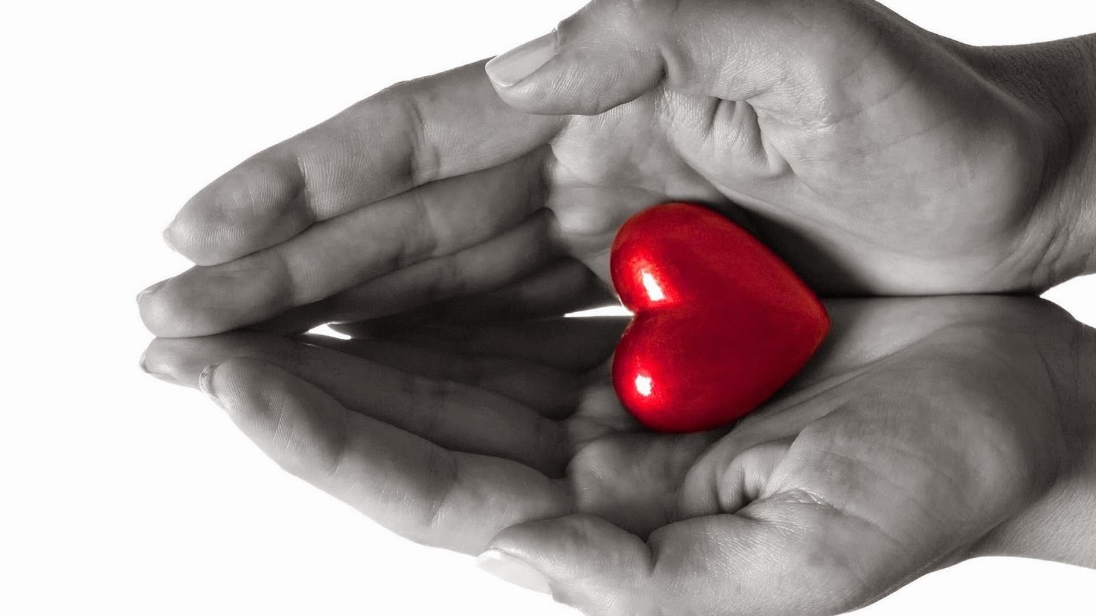 Malayalam Love Wallpapers Free Download Shafqat Meaning In Urdu