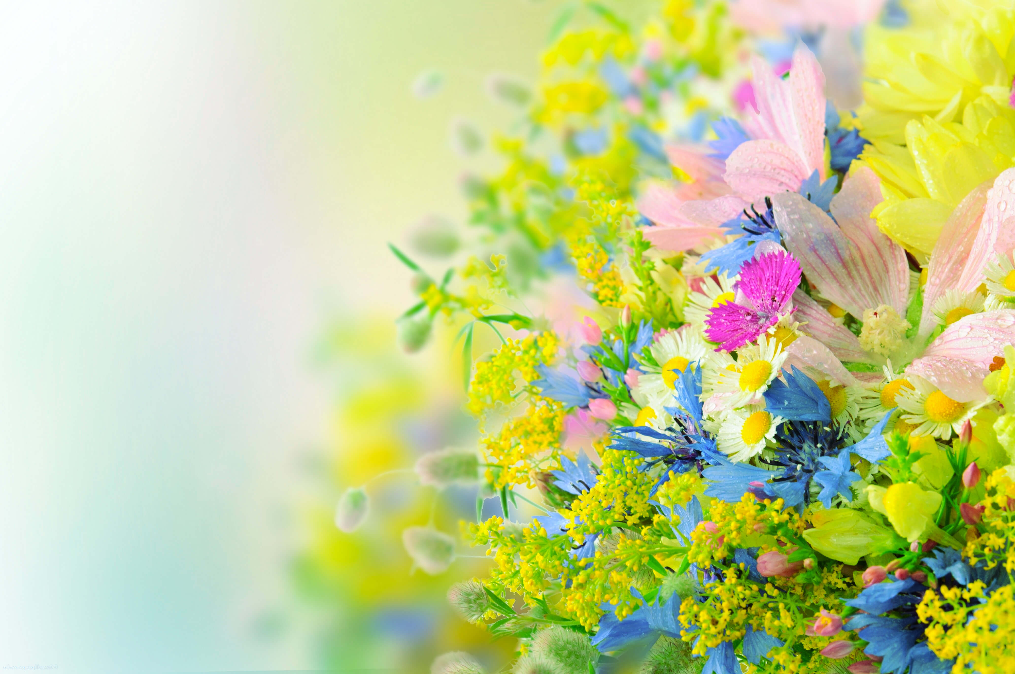 Beautiful Bright Flowers Hd Wallpaper - Flower Wallpapers High Resolution , HD Wallpaper & Backgrounds