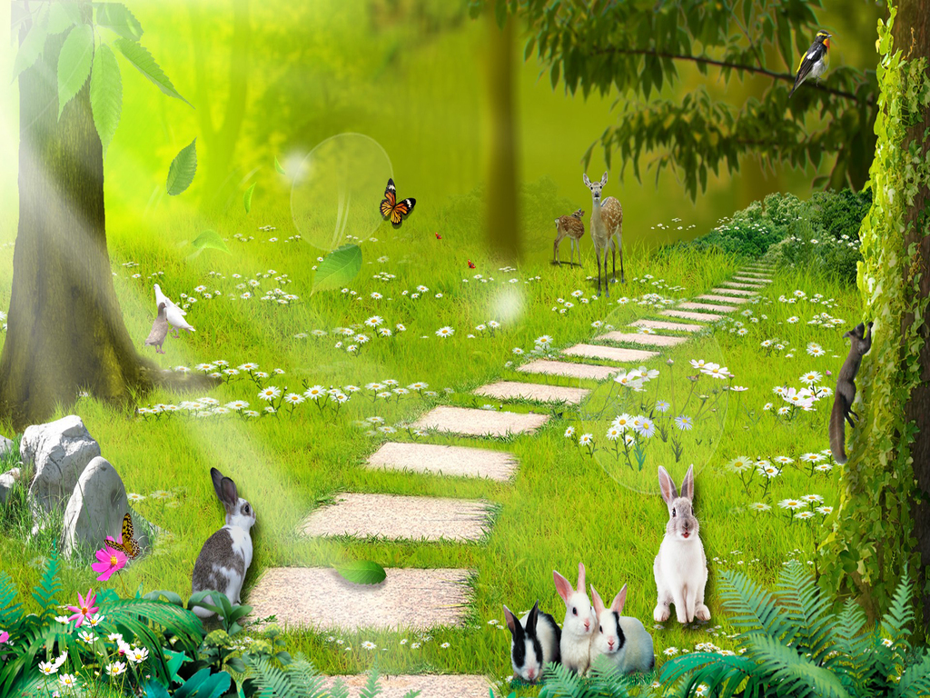 Enchanted Forest Wallpaper Download The Free New Enchanted , HD Wallpaper & Backgrounds